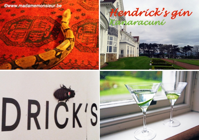 concours, gratuit, gin, hendrick's, ecosse, Amazonie, rare