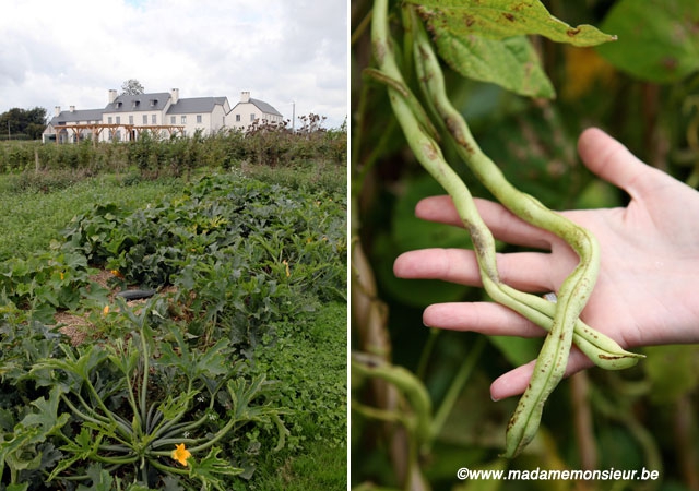 degeimbre, sven chartier, saturne, air du temps, étoilé, 4 mains, chefs, michelin, nature, vin naturels