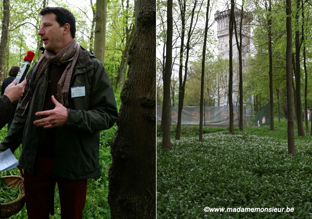 cueillette, guide nature, cuisine sauvage, reportage, namur, lionel rawet, wallonie, herbes, plantes, botanique