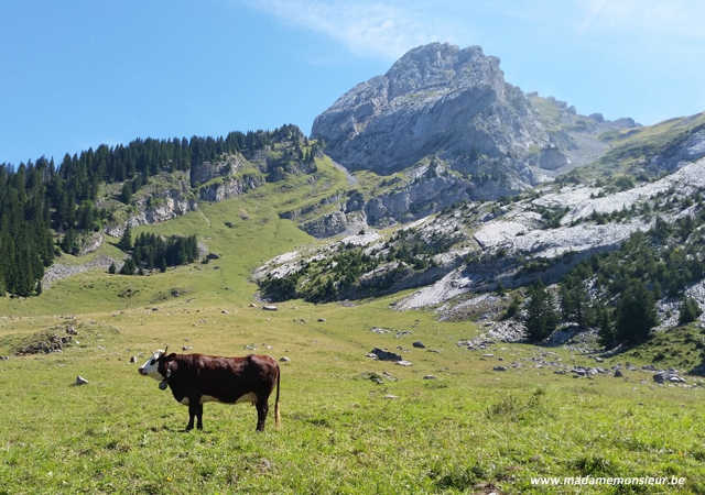 resto, chalet, alpes, saovie, pas cher, nature, montagne, cueillette, restaurant