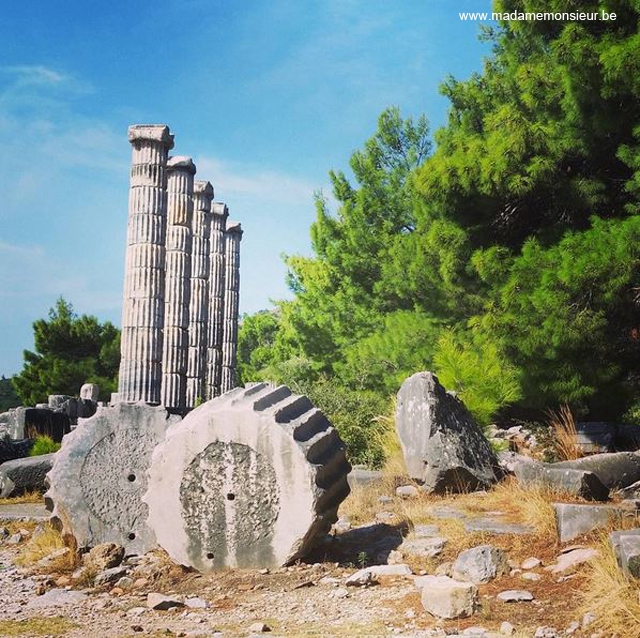 turquie,voyage,priene,archeologie,romain,visite, priene