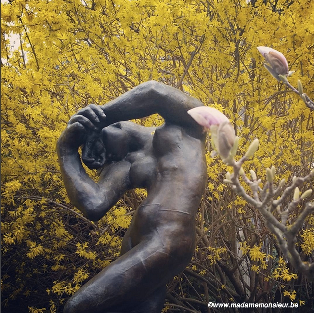 voyage,jardin,musée,sculpture,gianadda,suisse,art, rodin