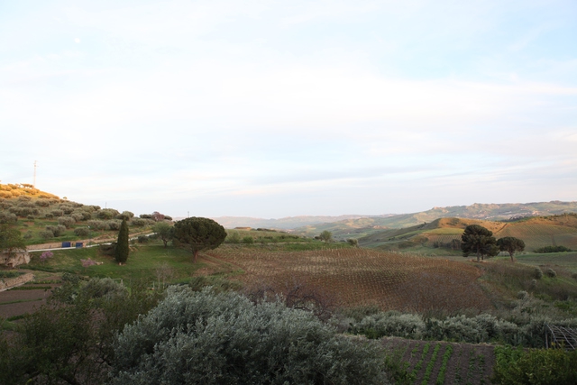 vin, oenotourisme, sicile, coup de coeur, vignoble, bedandbreakfast, maisondhote