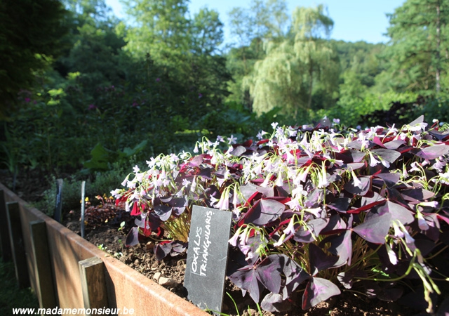 restaurant gastronomique,michelin,gault&millau,chef,bouillon,wallonie,hôtel,terrasse,jardin,piscine