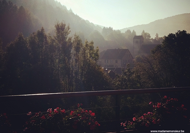 alsace,france,hôtel,resto,brasserie,spa,vin,coup de coeur,weekend, nature, suite